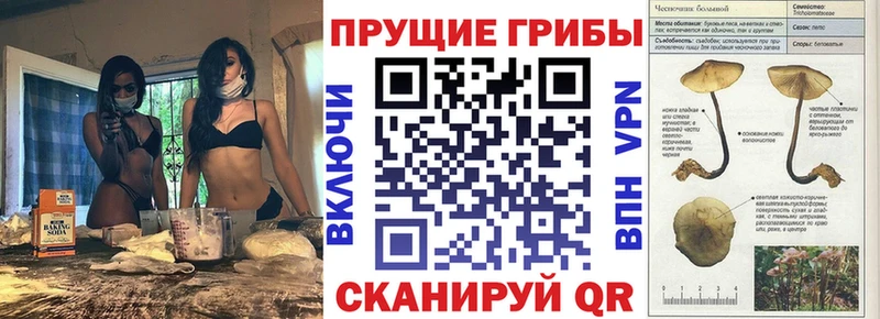 Галлюциногенные грибы мухоморы Купить где Староминская